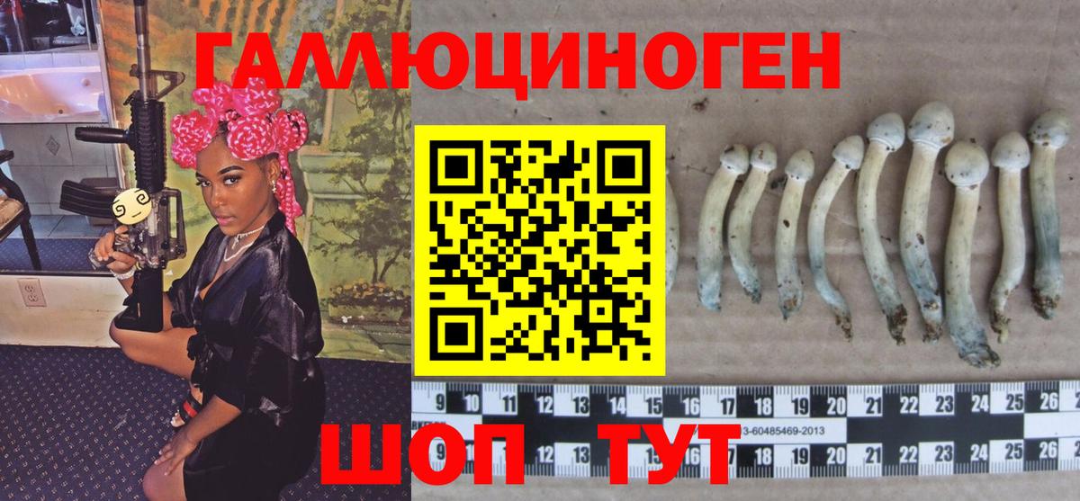 купить наркоту  Галлюциногенные грибы Magic Shrooms  Вход с VPN  Чита 